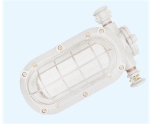 潍坊矿用隔爆型LED支架灯